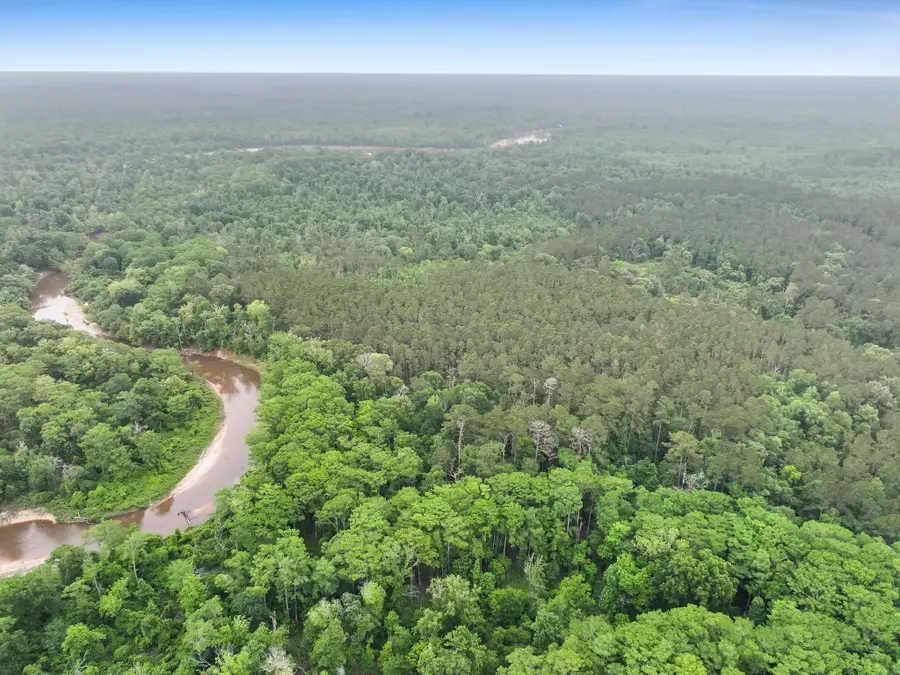 TBD Private Road 8059, Call, TX 75933 - #3