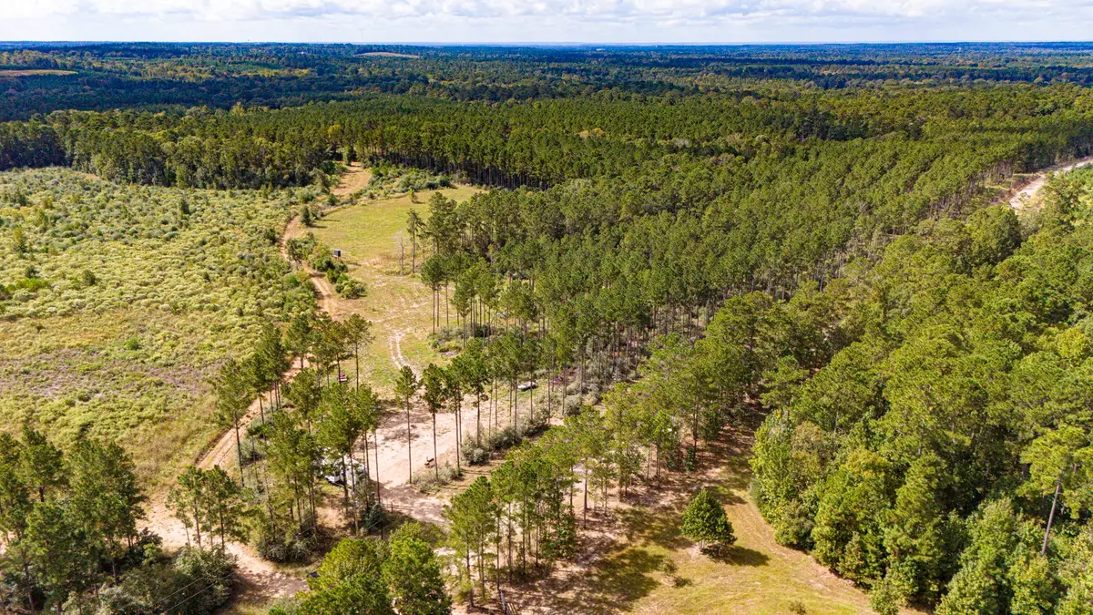 000 Oakdale Loop, Livingston, TX 77351 - Image #1