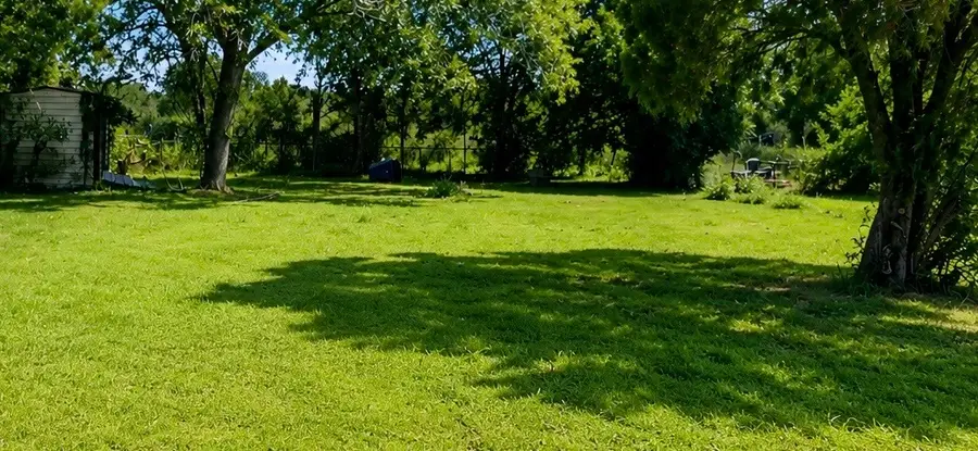 202 Moore Street, Hallettsville, TX 77964 - #3