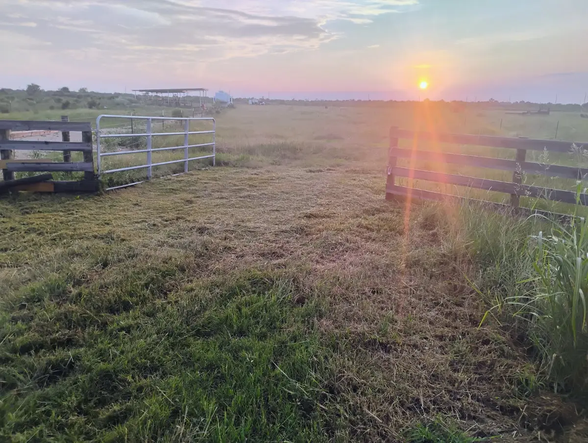 6620 Eagle Road, Anahuac, TX 77514 - #1