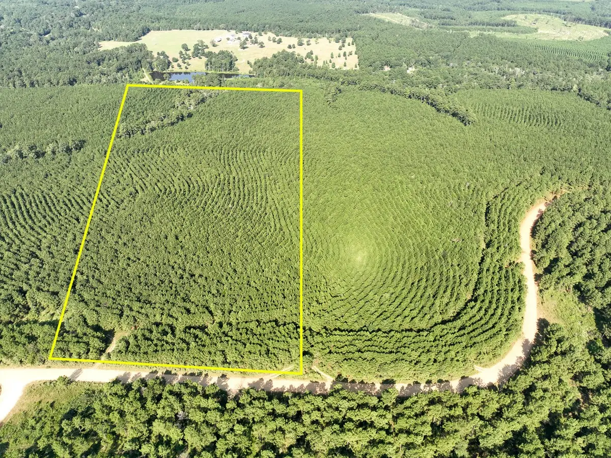 000 Shady Grove Rd, Woodville, TX 75979 - Image #1