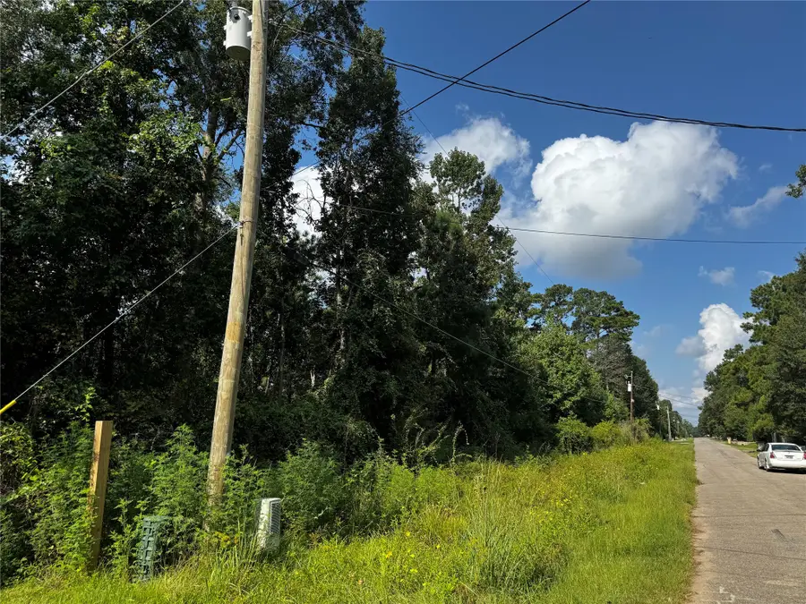 17632 Drowsy Pines, Conroe, TX 77306 - Image #2