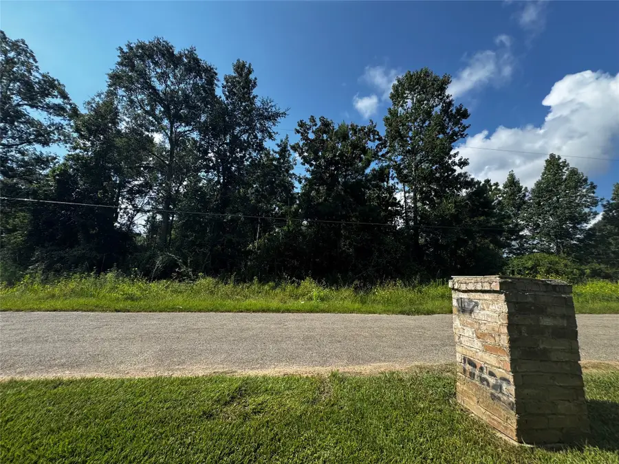 17632 Drowsy Pines, Conroe, TX 77306 - Image #3