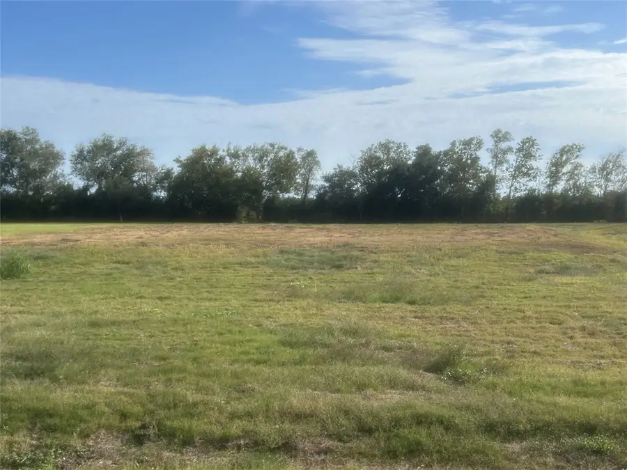 4618 Magnolia Bend Drive, Iowa Colony, TX 77583 - #3