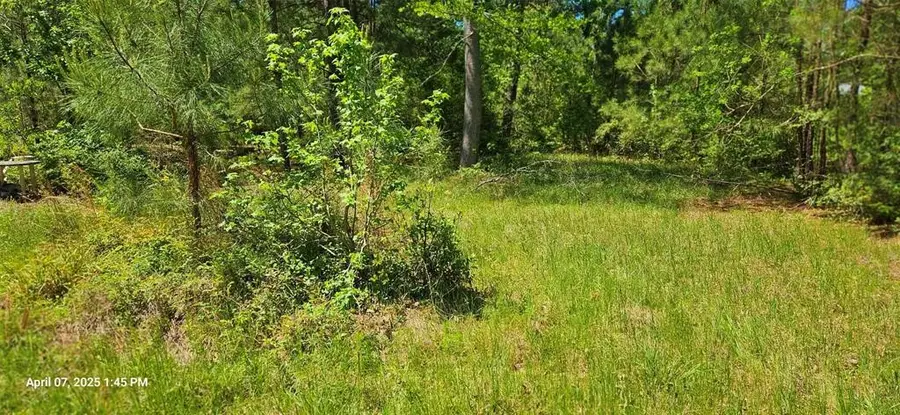 19588 Alford Road, Magnolia, TX 77355 - #3