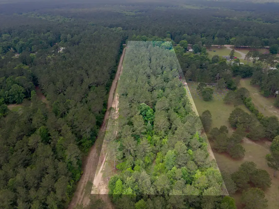 0 County Line Rd Road, Shepherd, TX 77371 - #2