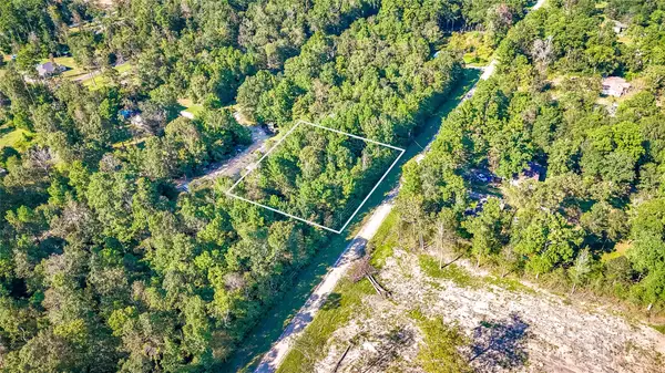 TBD 25 Timber Grove, Livingston, TX 77351