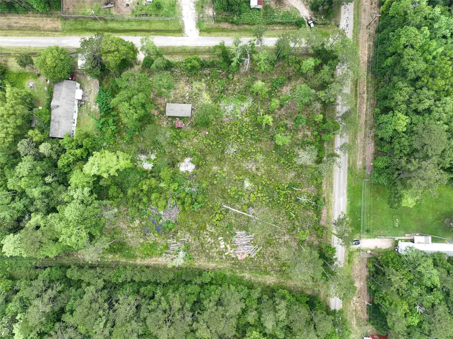 0 Leona Lane, Shepherd, TX 77371 - #2