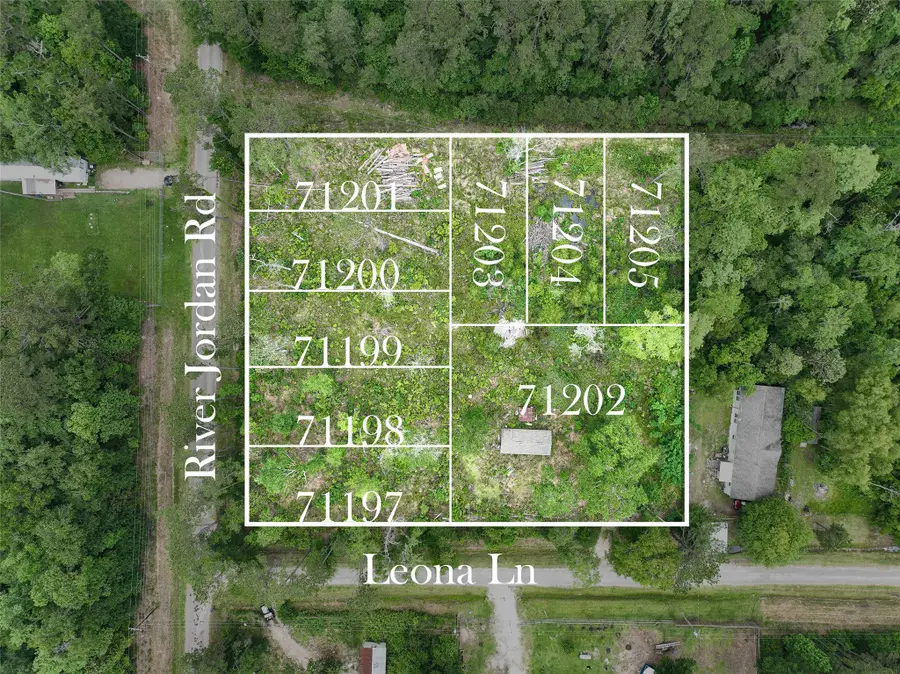 0 Leona Lane, Shepherd, TX 77371 - #3