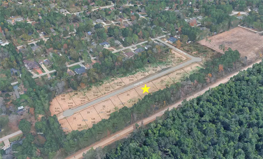 Lot 172 Indigo Way, Porter, TX 77365 - #2
