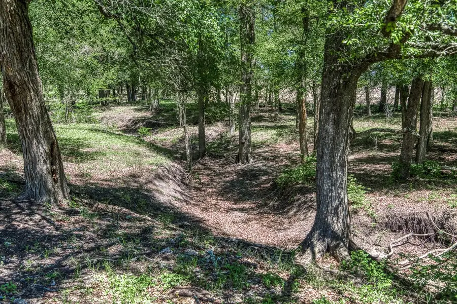 7108 Boehnemann, Brenham, TX 77880 - #3