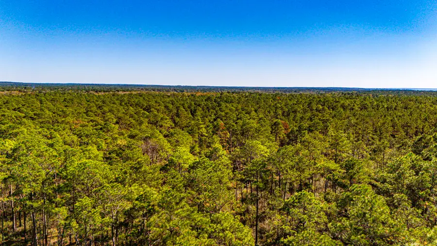 0314 Sportsman Retreat Road, Onalaska, TX 77360 - Image #2