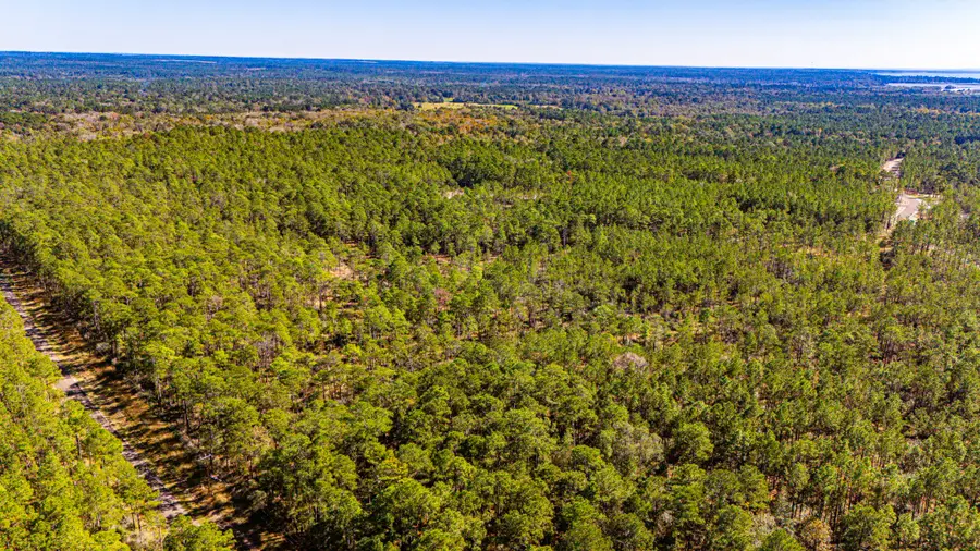 0314 Sportsman Retreat Road, Onalaska, TX 77360 - Image #3