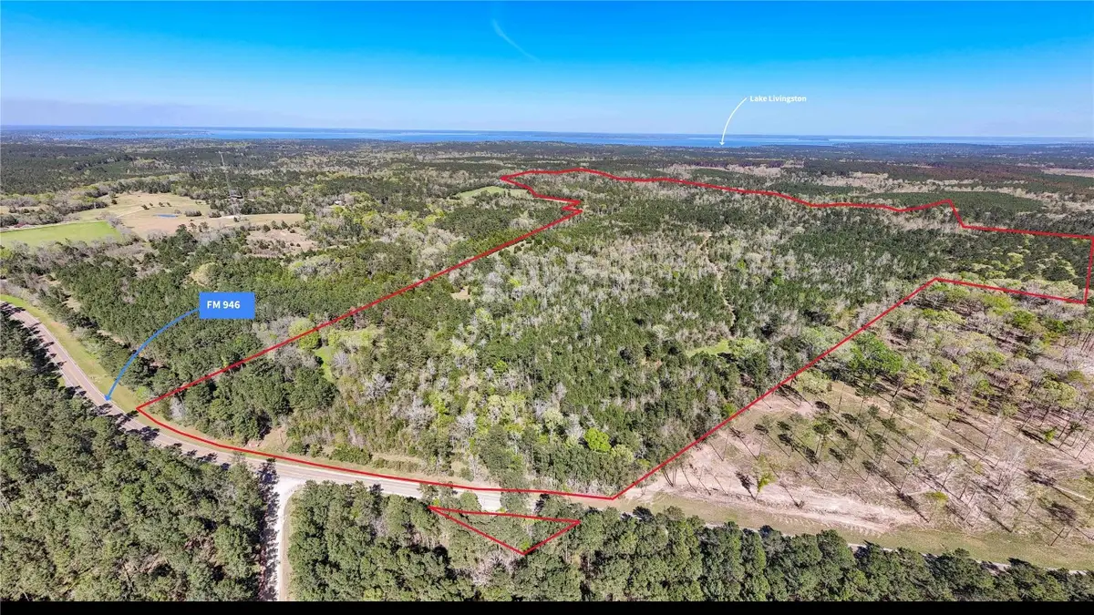 TBD Fm 946, Coldspring, TX 77331 - #1