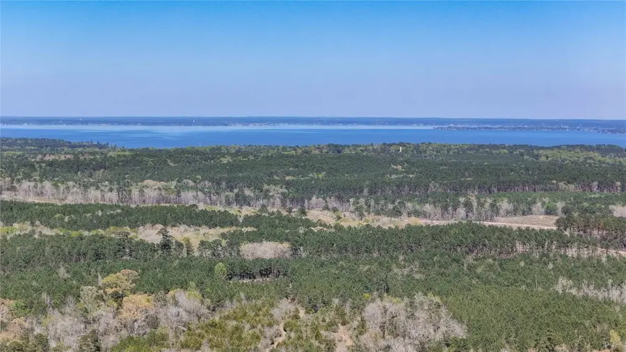 TBD Fm 946, Coldspring, TX 77331 - #3