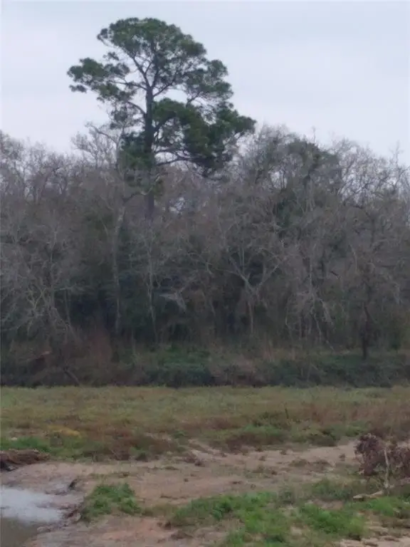 0 Fm 2351 Road, Friendswood, TX 77546 - Image #1