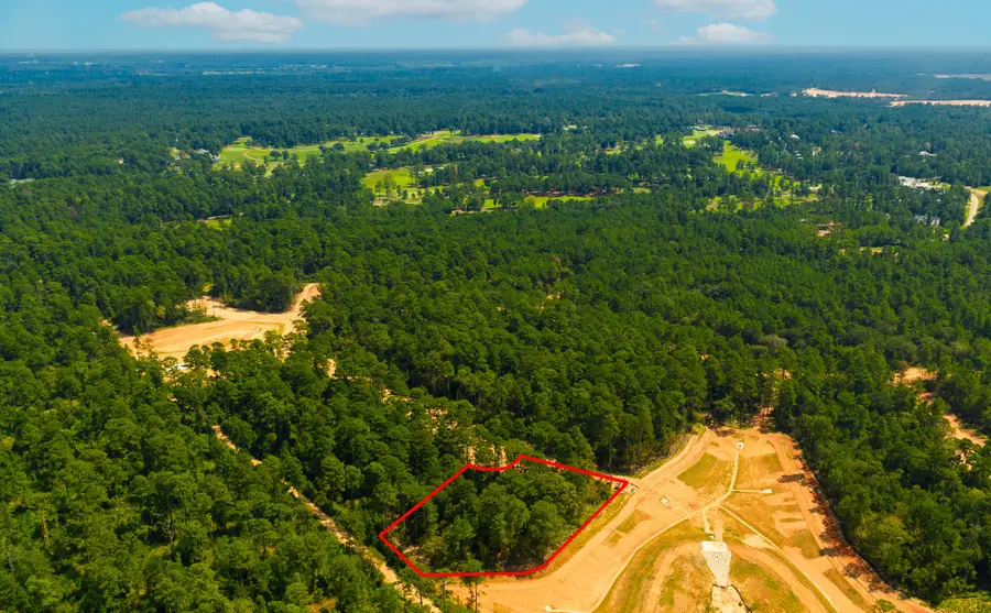 26348 Crooked Stick Court, Montgomery, TX 77316 - #2