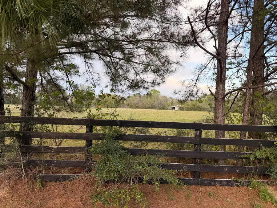 TBD County Road 2284, Cleveland, TX 77327 - #2