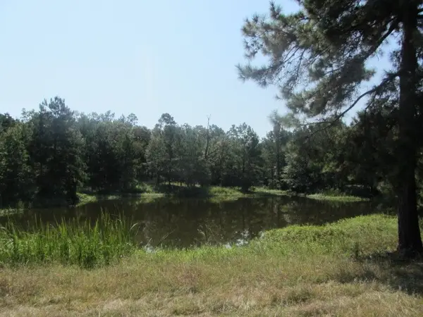 TBD Tx-19, Huntsville, TX 77320