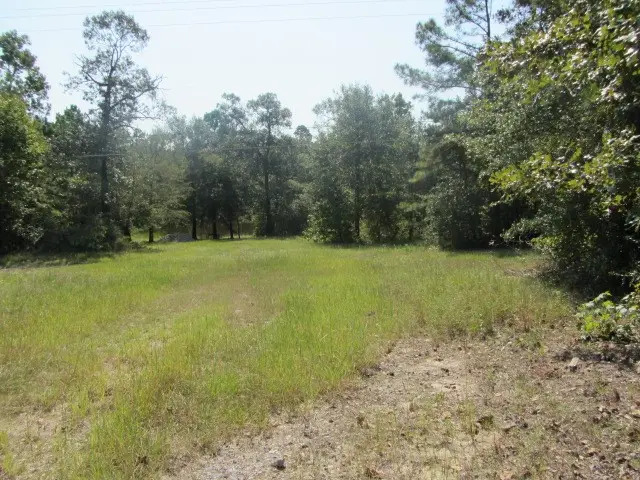 TBD Tx-19, Huntsville, TX 77320 - #2