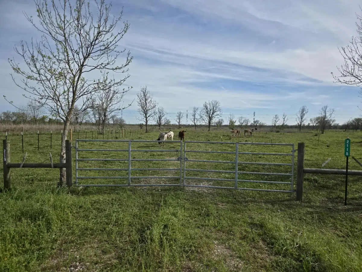 2115 County Road 244, Brazoria, TX 77422 - #1