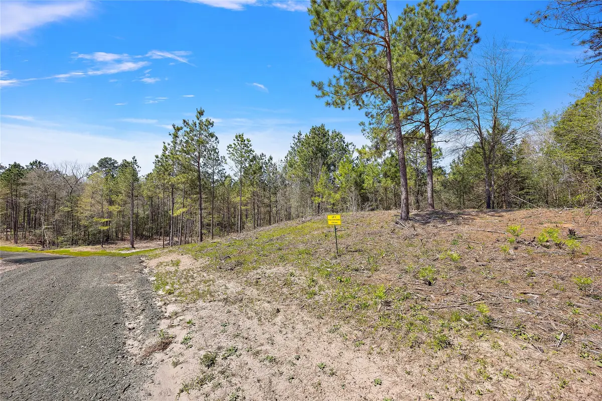 434 Piney Creek Estates Road, Timpson, TX 75975 - Image #1