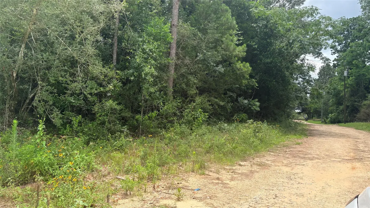 LOT 1 Millcreek Drive, Ivanhoe, TX 75979 - #1