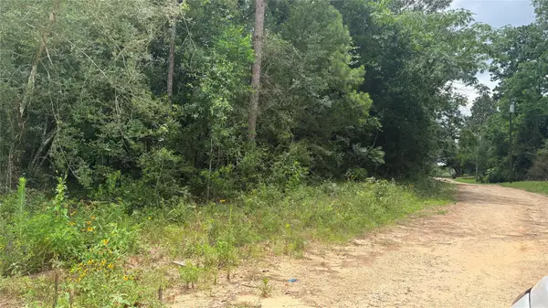 LOT 1 Millcreek Drive, Ivanhoe, TX 75979
