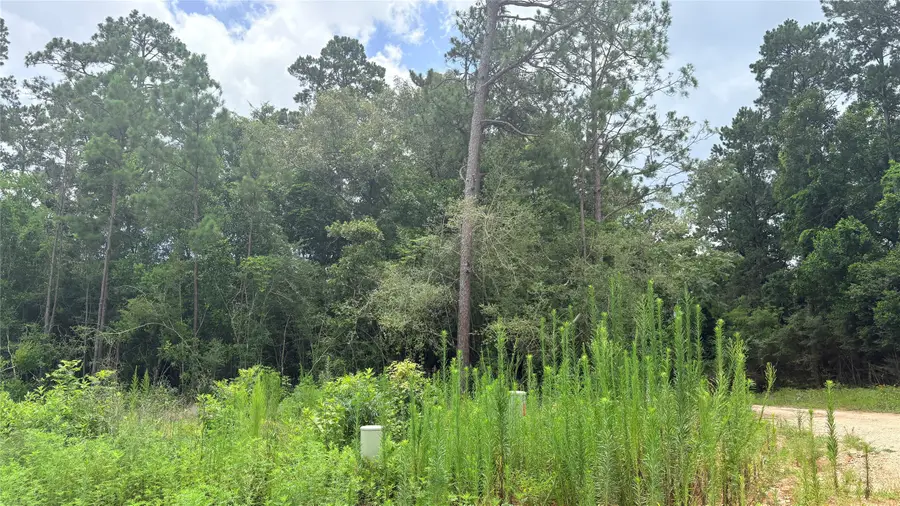 LOT 1 Millcreek Drive, Ivanhoe, TX 75979 - #3