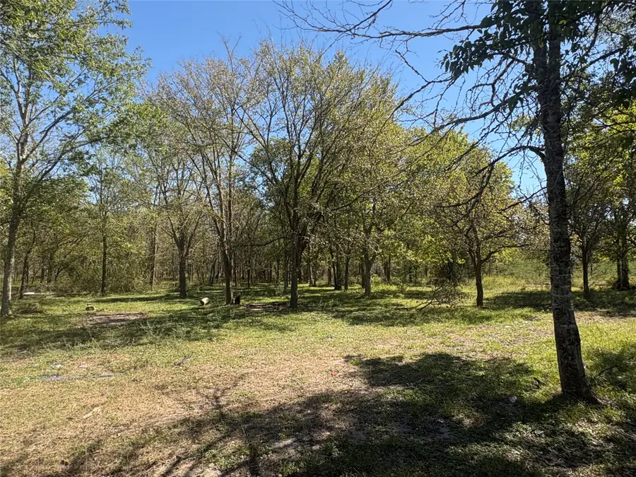 13.051 ACRES Independence Drive, Bedias, TX 77831 - #2