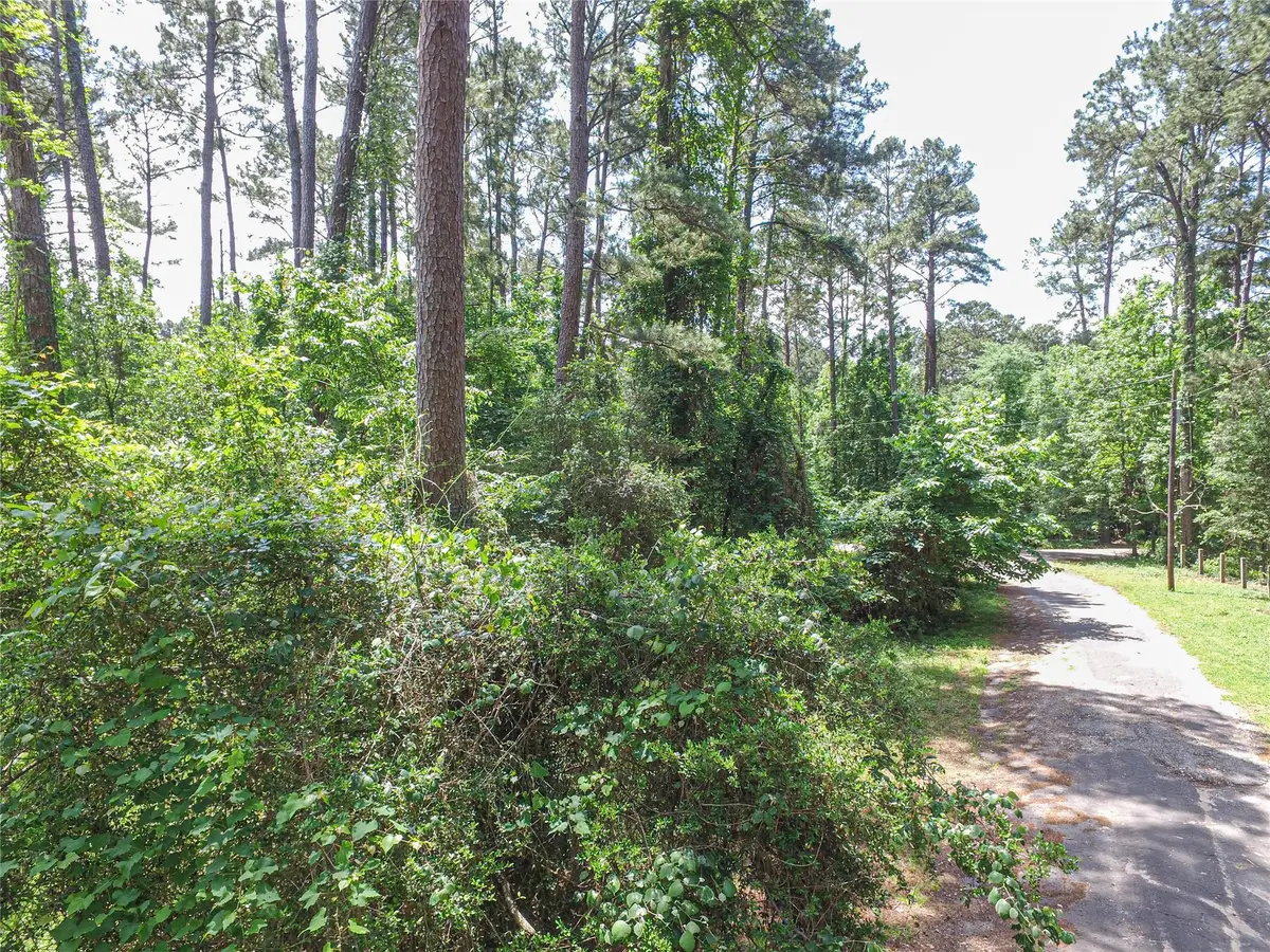 TBD Grand Pine Rd, Livingston, TX 77351 - #1