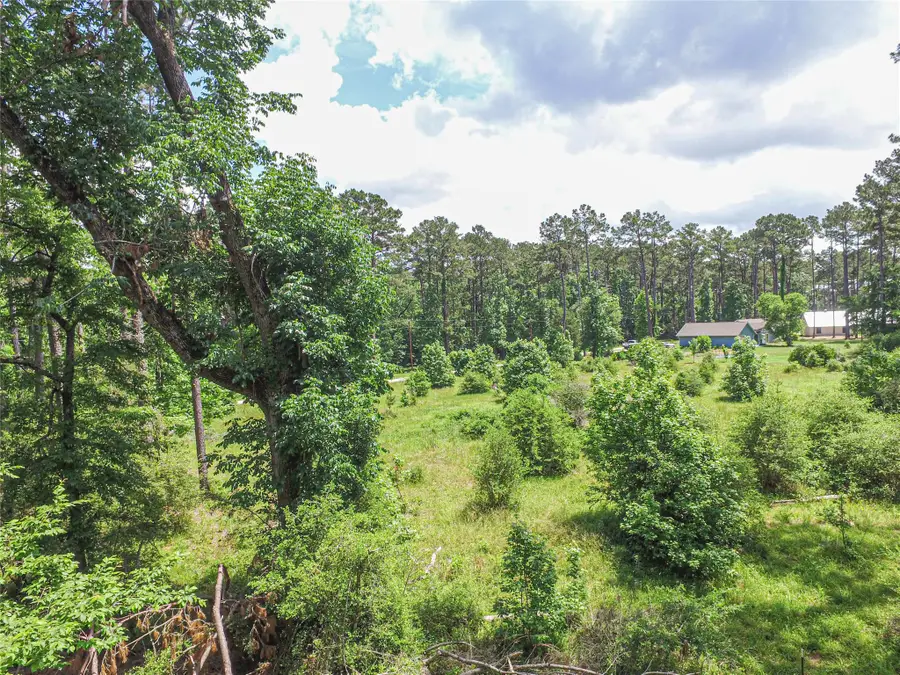 TBD Grand Pine Rd, Livingston, TX 77351 - #3