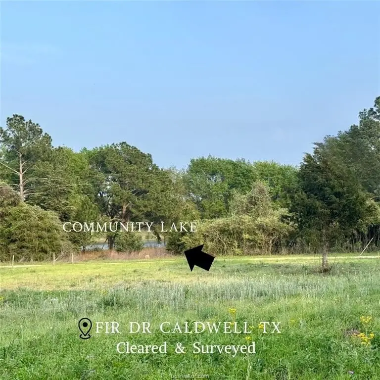 TBD Fir Drive, Caldwell, TX 77836 - #3