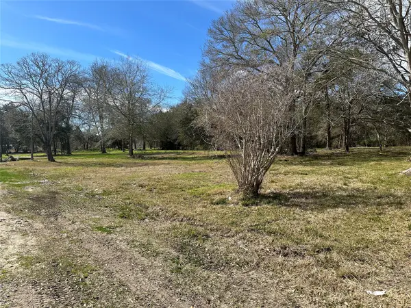 0 County Road 179, Alvin, TX 77511