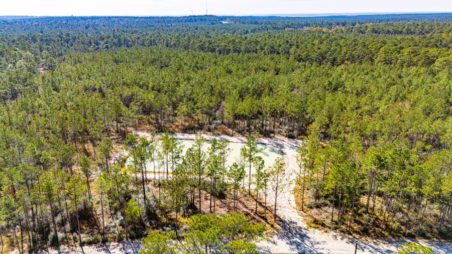 028 King Ranch Road S, Onalaska, TX 77360 - Image #2