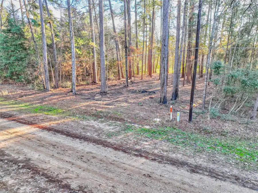 171 Pine Shadow Street, Coldspring, TX 77331 - #3