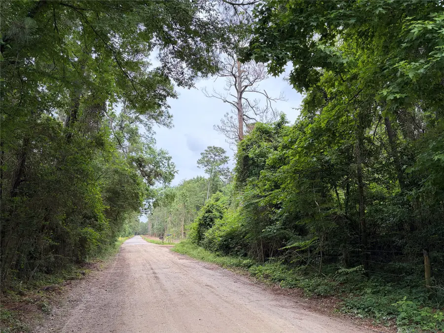 0 Lucher, Willis, TX 77378 - #2
