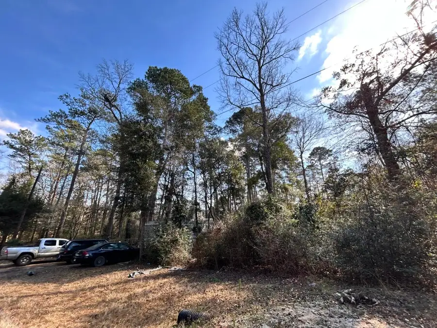 Lot 12 17th Street, Ivanhoe, TX 75979 - #3