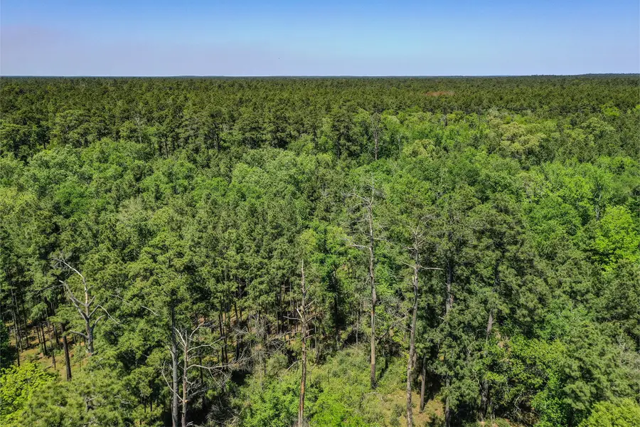 79.3 Acres Reese Rd, Pennington, TX 75856 - Image #2