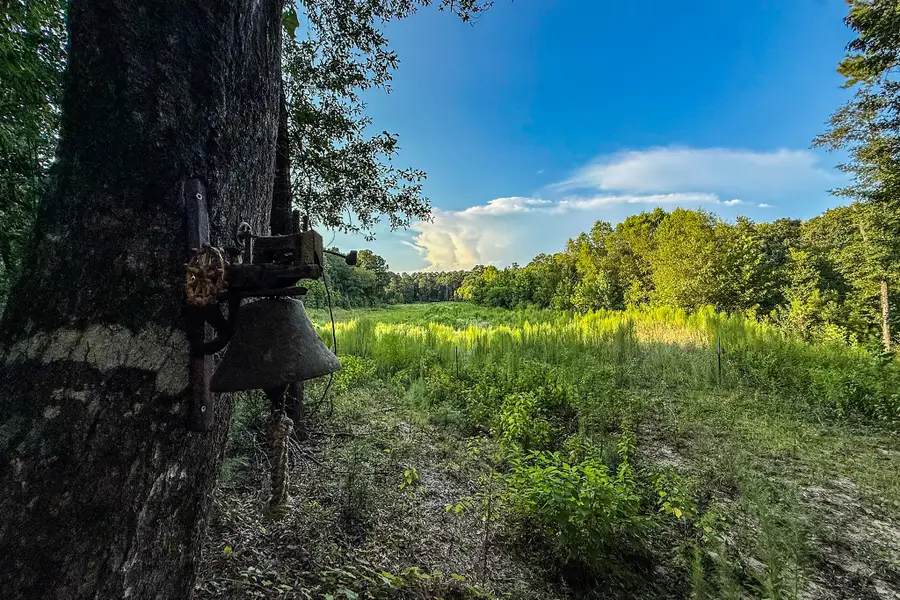 3 Acres Sky Oak Lane, Huntsville, TX 77340 - #2