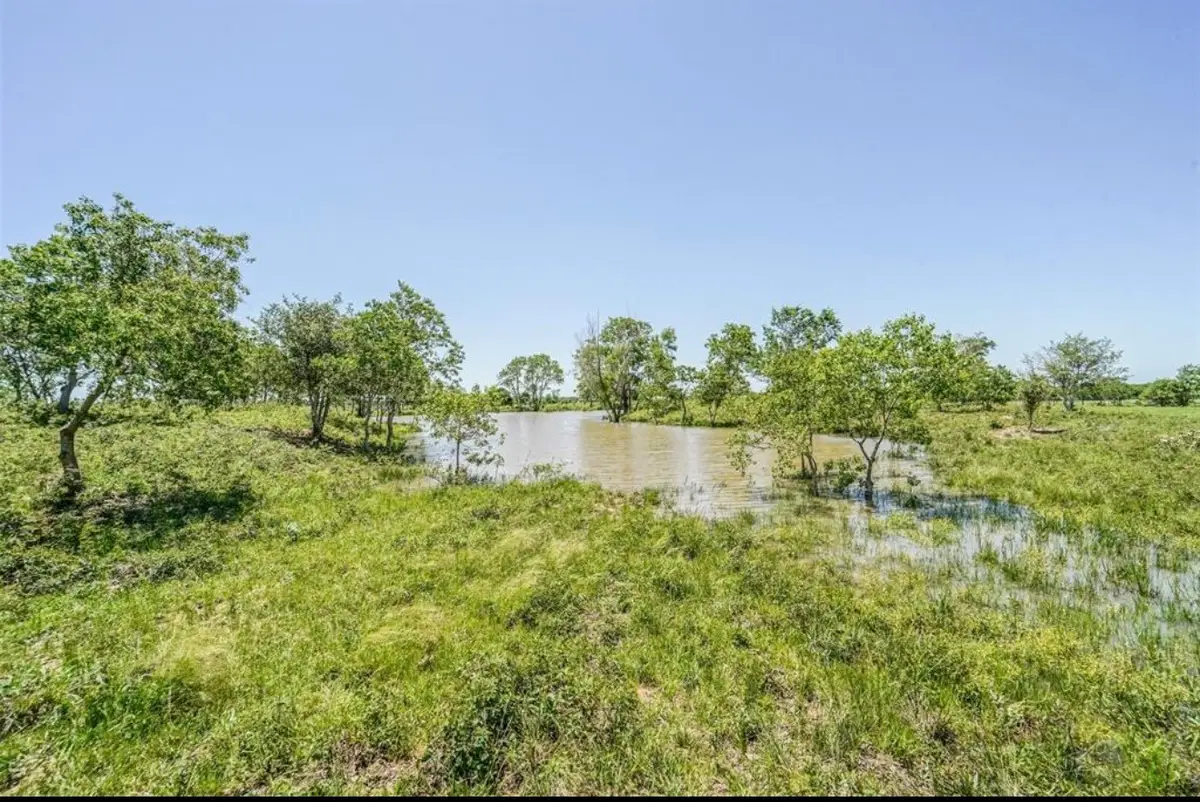 11811 Schmidt Road, Waller, TX 77484 - #1
