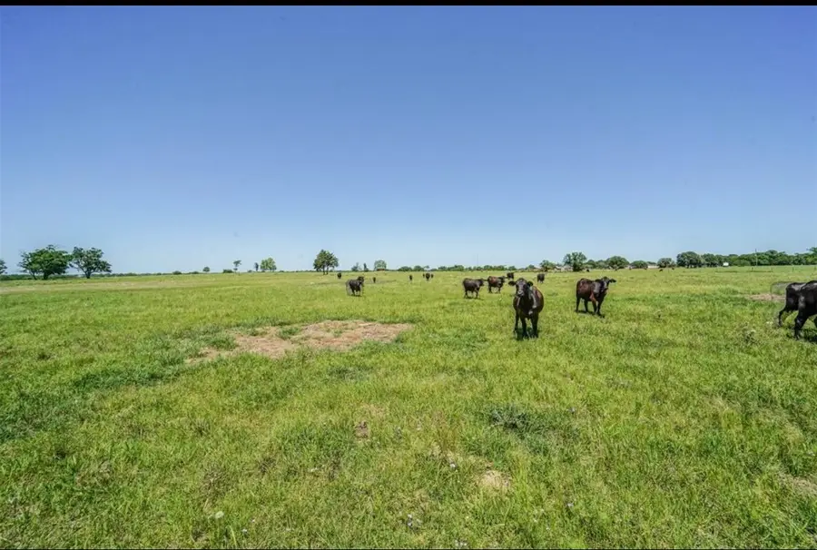 11811 Schmidt Road, Waller, TX 77484 - #2