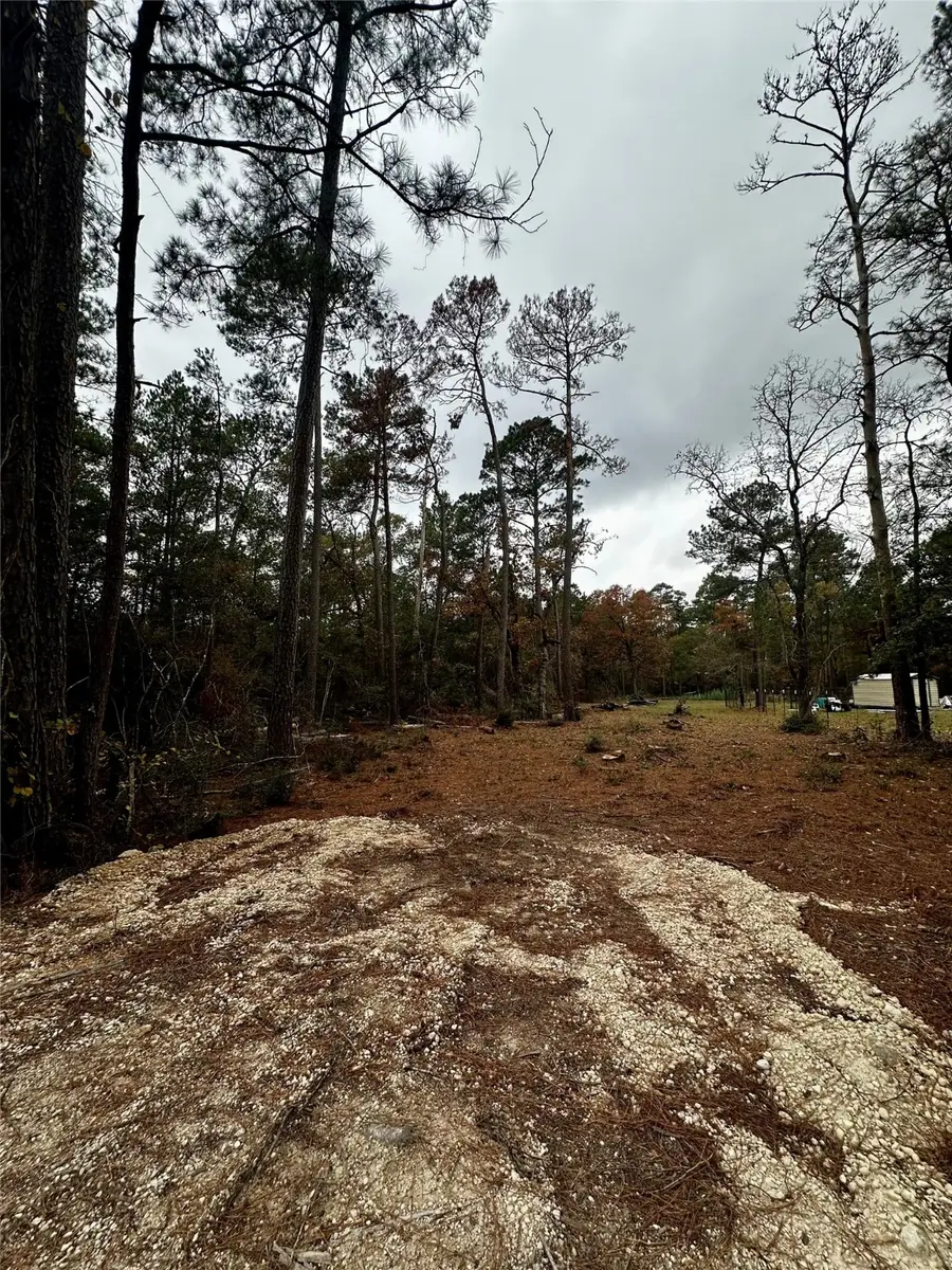 15172 Cherry Laurel Lane, Navasota, TX 77868 - Image #3