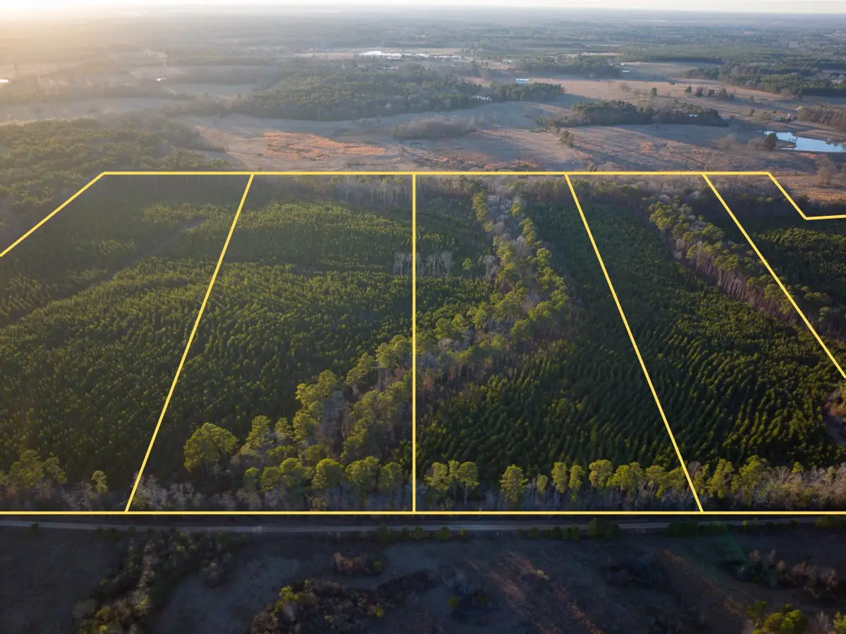 T-5 Cr 4415, Annona Avery, TX 75559 - Image #1