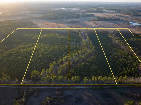 T-5 Cr 4415, Annona, TX 75559