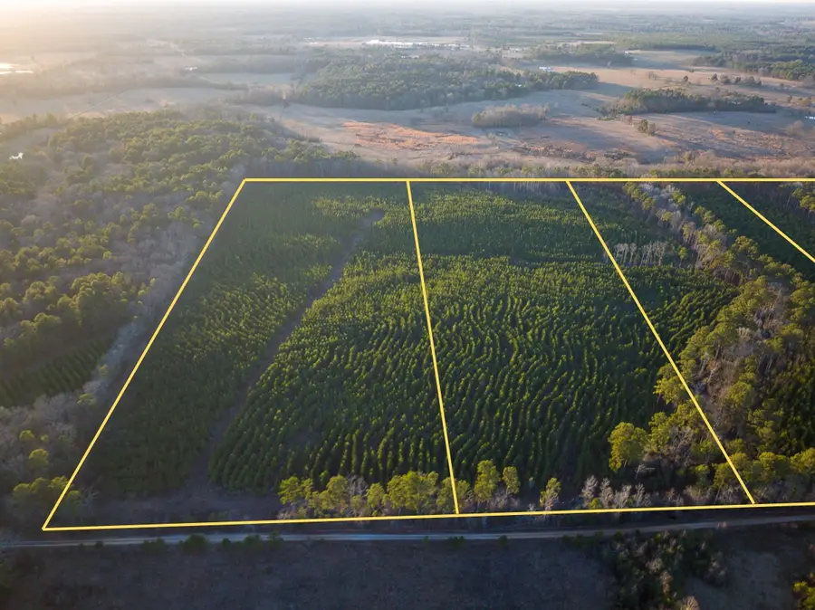 T-5 Cr 4415, Annona Avery, TX 75559 - Image #3