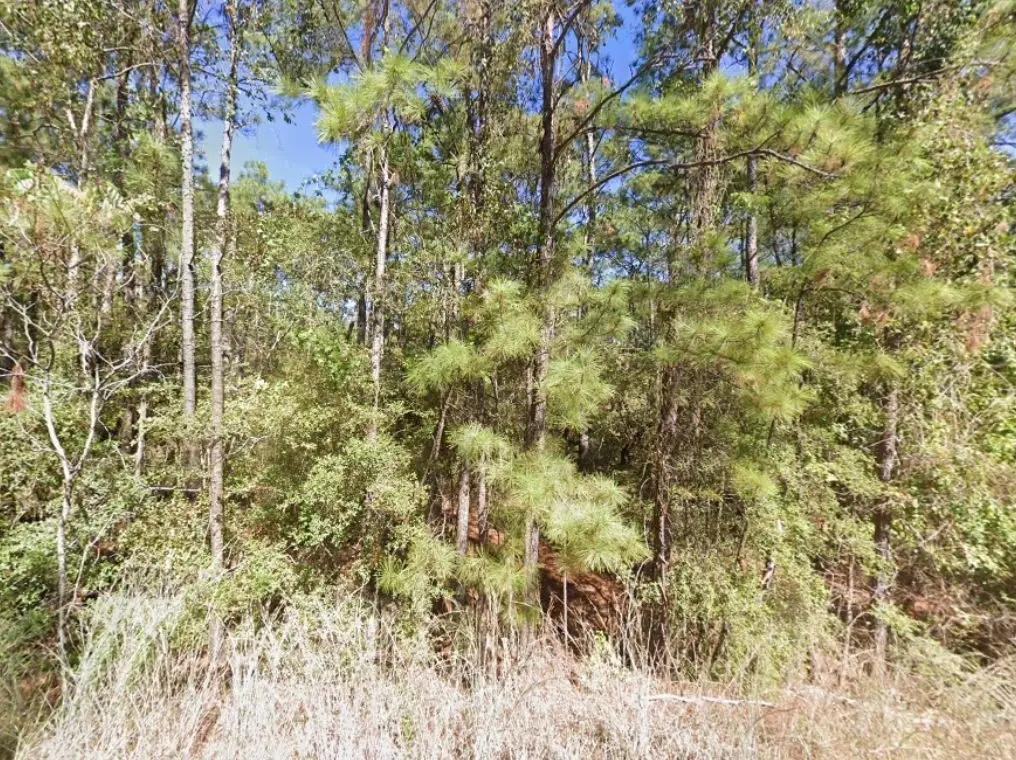 0 Creekside Harbor, Onalaska, TX 77360 - #1
