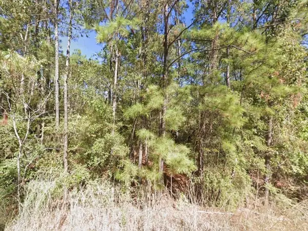 0 Creekside Harbor, Onalaska, TX 77360