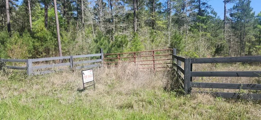 668 Wheeler Road, Livingston, TX 77351 - #3