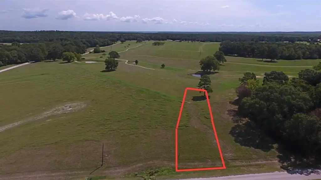 Lot 21 Charleston Street, Trinity, TX 75862 - #1